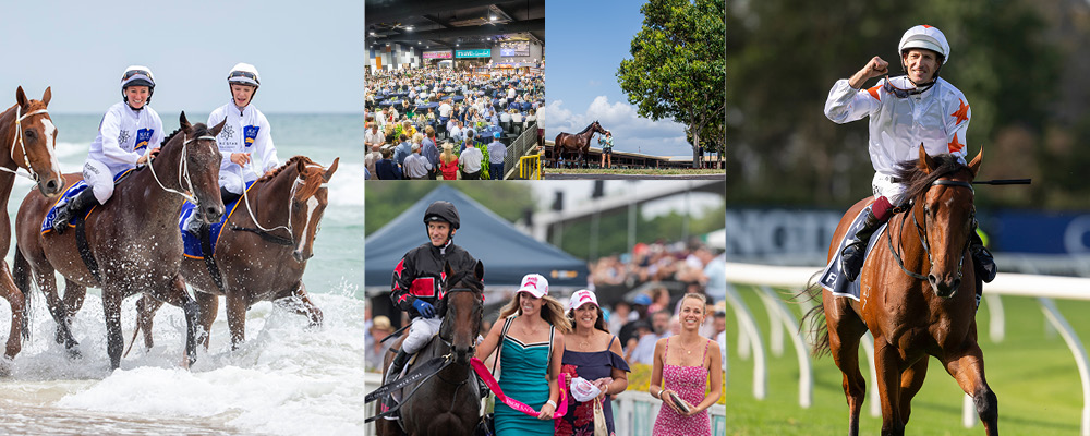 Australasia’s Best feature in 2021 Gold Coast Yearling Sale