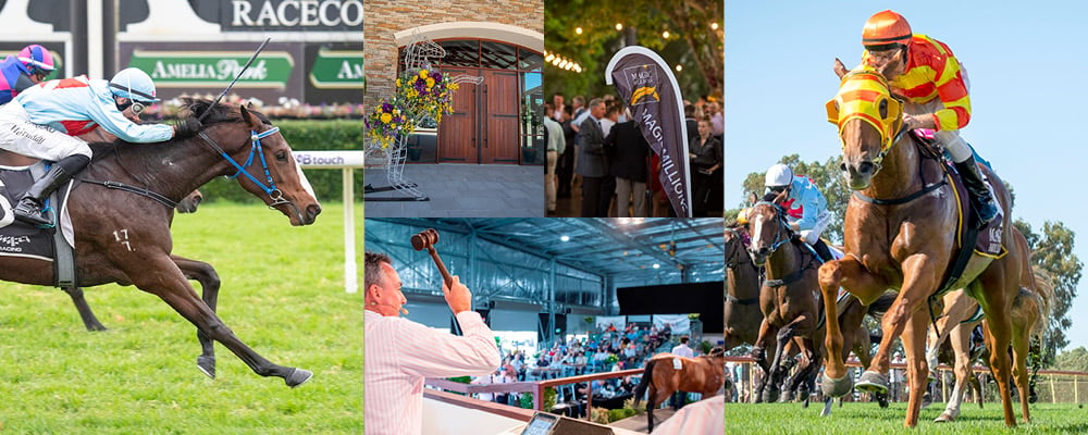 Best in the West in 2021 Perth Yearling Catalogue