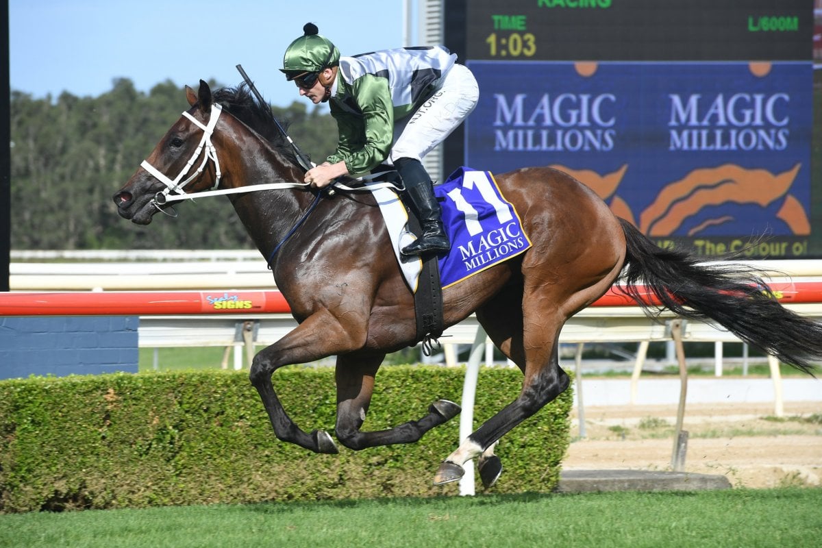 She’s All Class Makes Millions Statement at Wyong