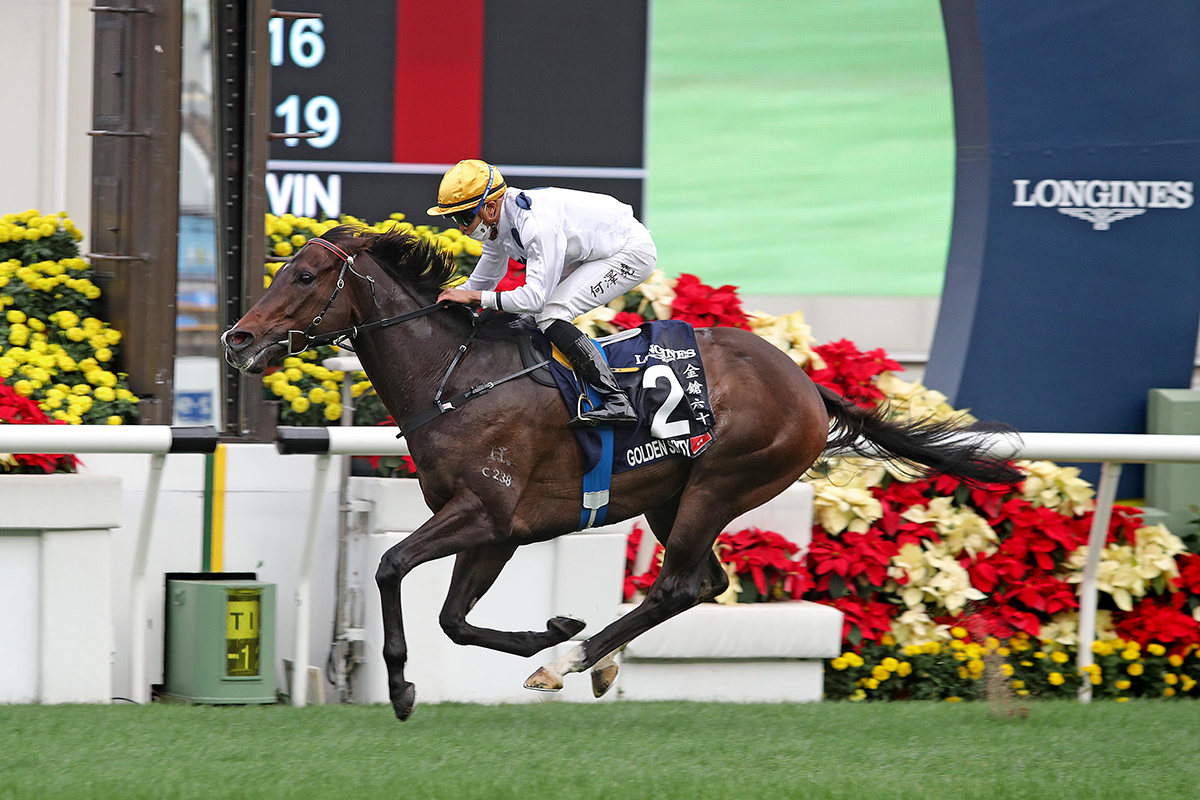 Champion Golden Sixty Shines for Queensland