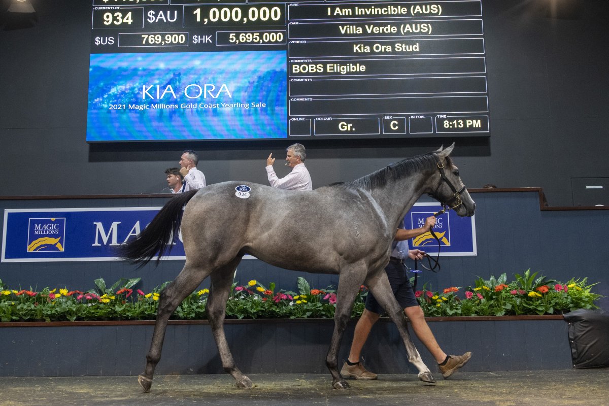 Records Tumble at Gold Coast Yearling Sale