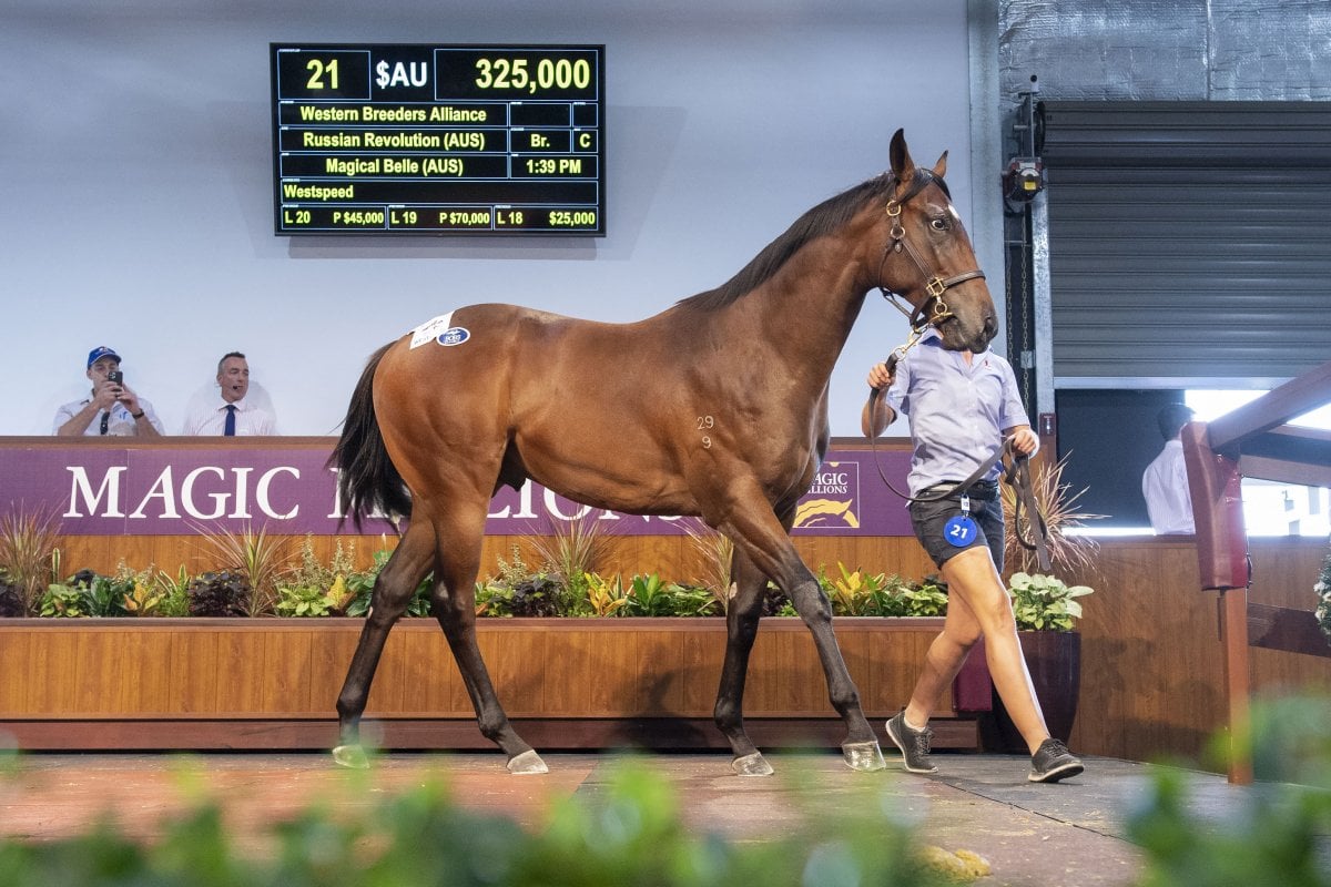 Russian Revolution Colt Tops Day One in Perth