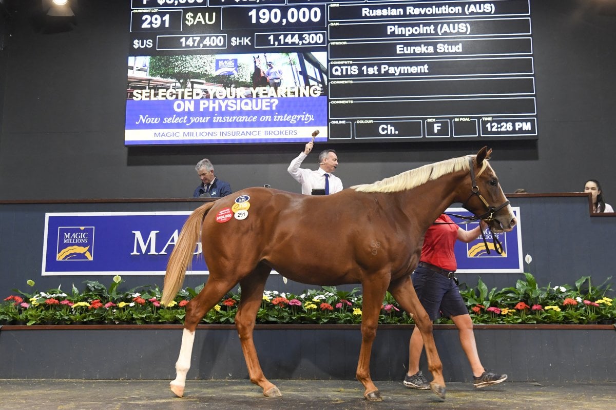 Record Gross at Successful Gold Coast March Yearling Sale