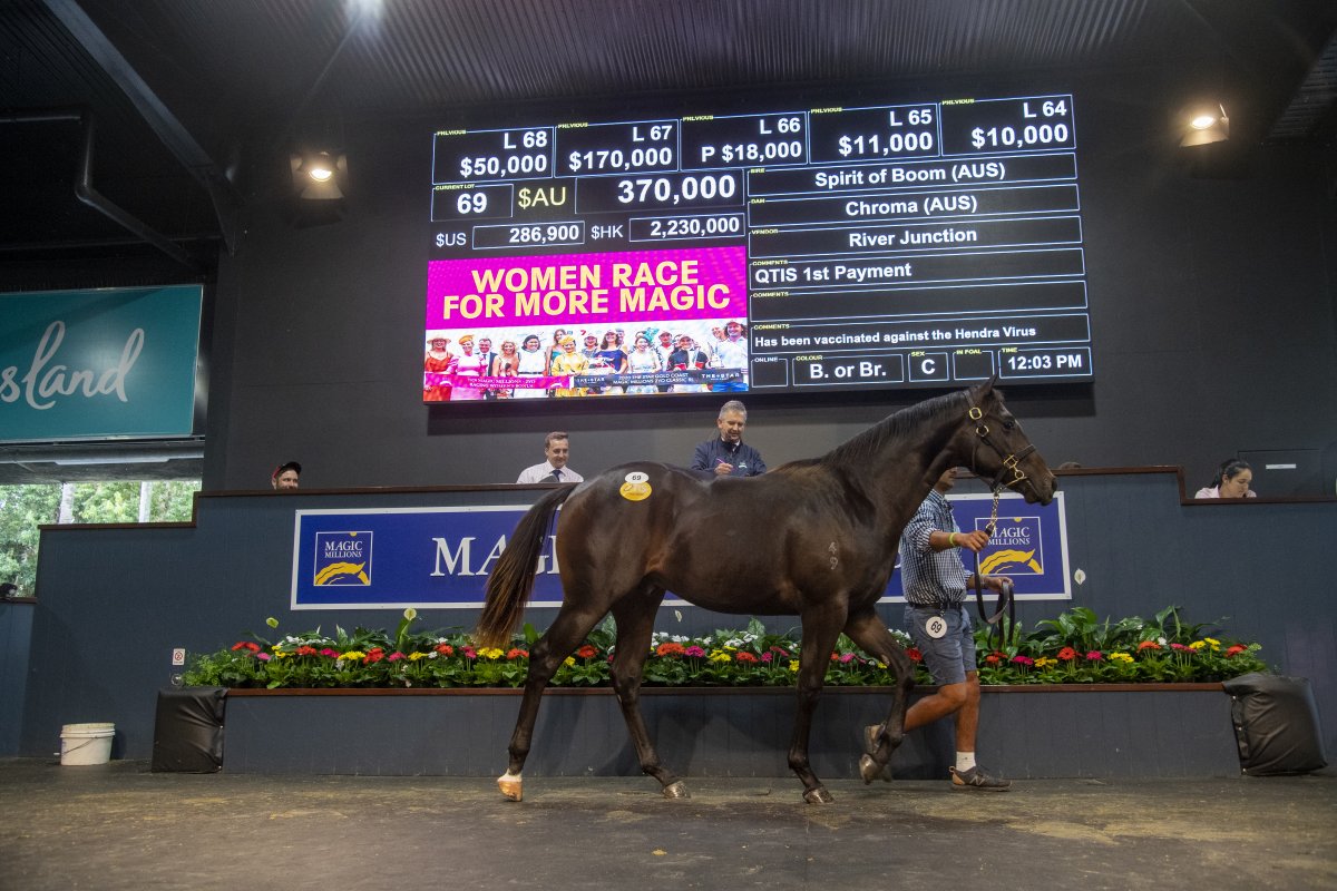 Booming Start to Gold Coast March Yearling Sale