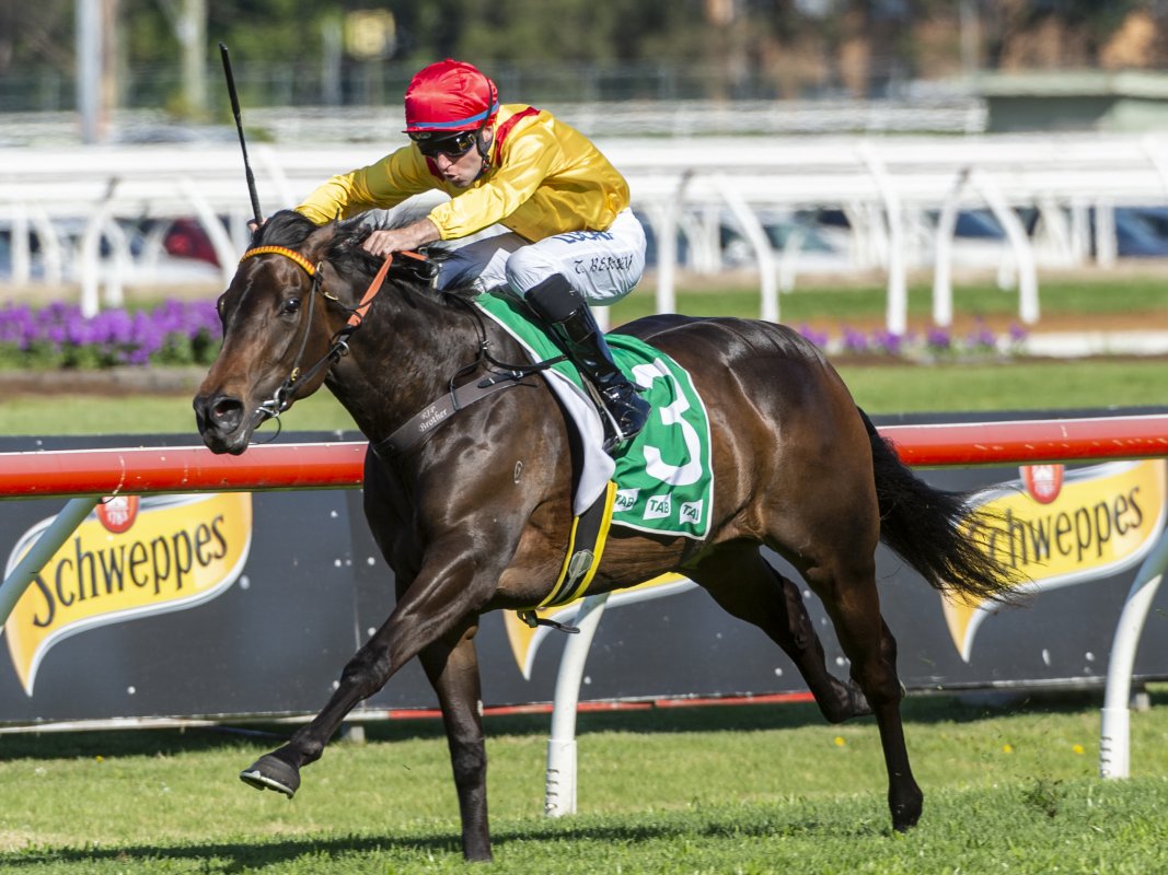 Outstanding Mare Mizzy Heading to National Sale