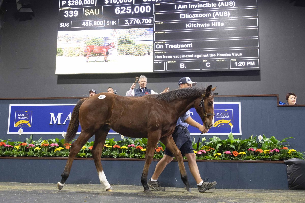 Records Smashed at Best Ever National Weanling Sale