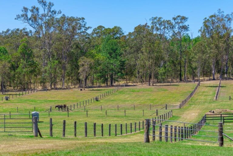 Archer Park, photo 4