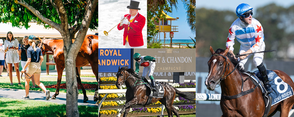 Stunning 2022 Gold Coast Yearling Sale Catalogue Online