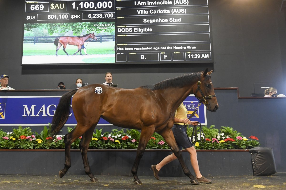 Harron Snares Top Selling Filly on Day Four