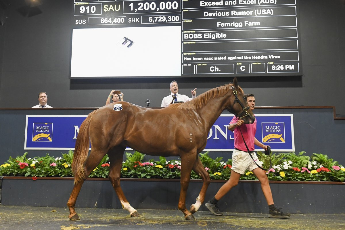 Records Smashed at Gold Coast Yearling Sale