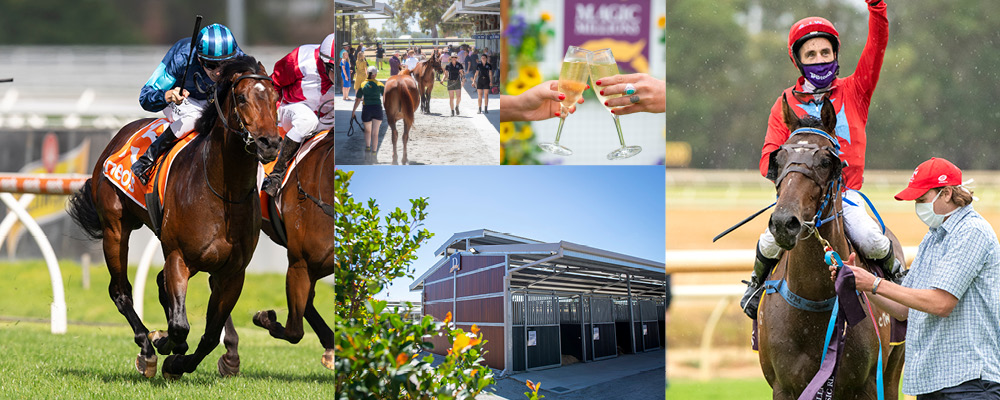 New Dates Announced for 2022 Perth Yearling Sale