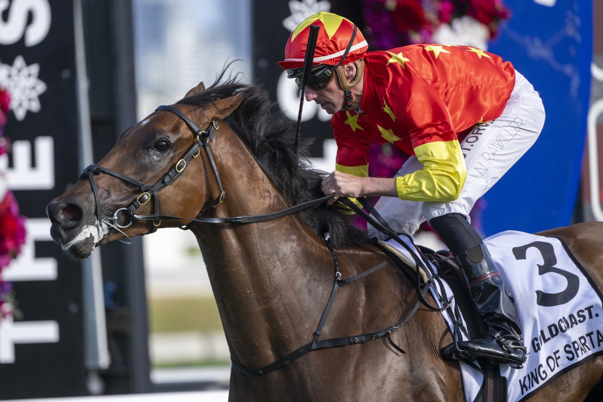 King of Sparta Rules in Magic Millions Guineas