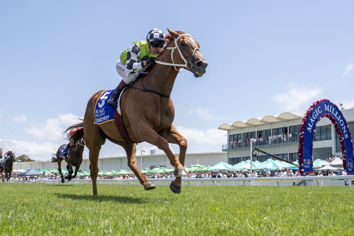 Bigboyroy Romps Home for Waller and McEvoy