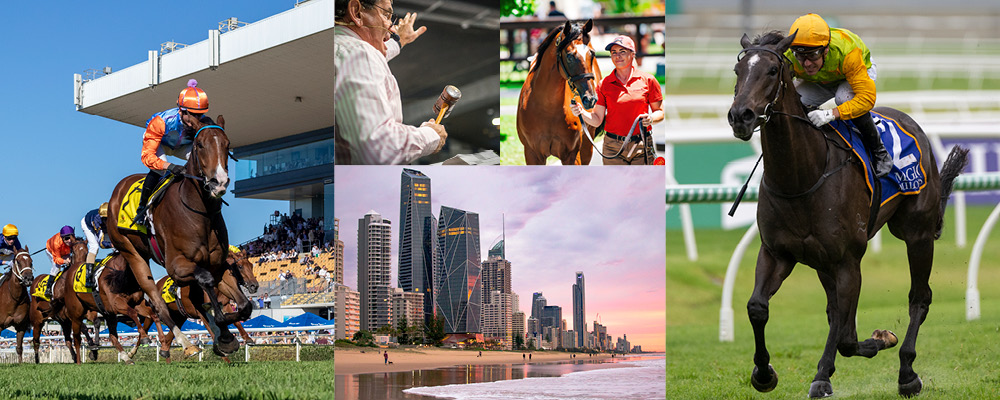 Quality Packed Gold Coast March Catalogue Online