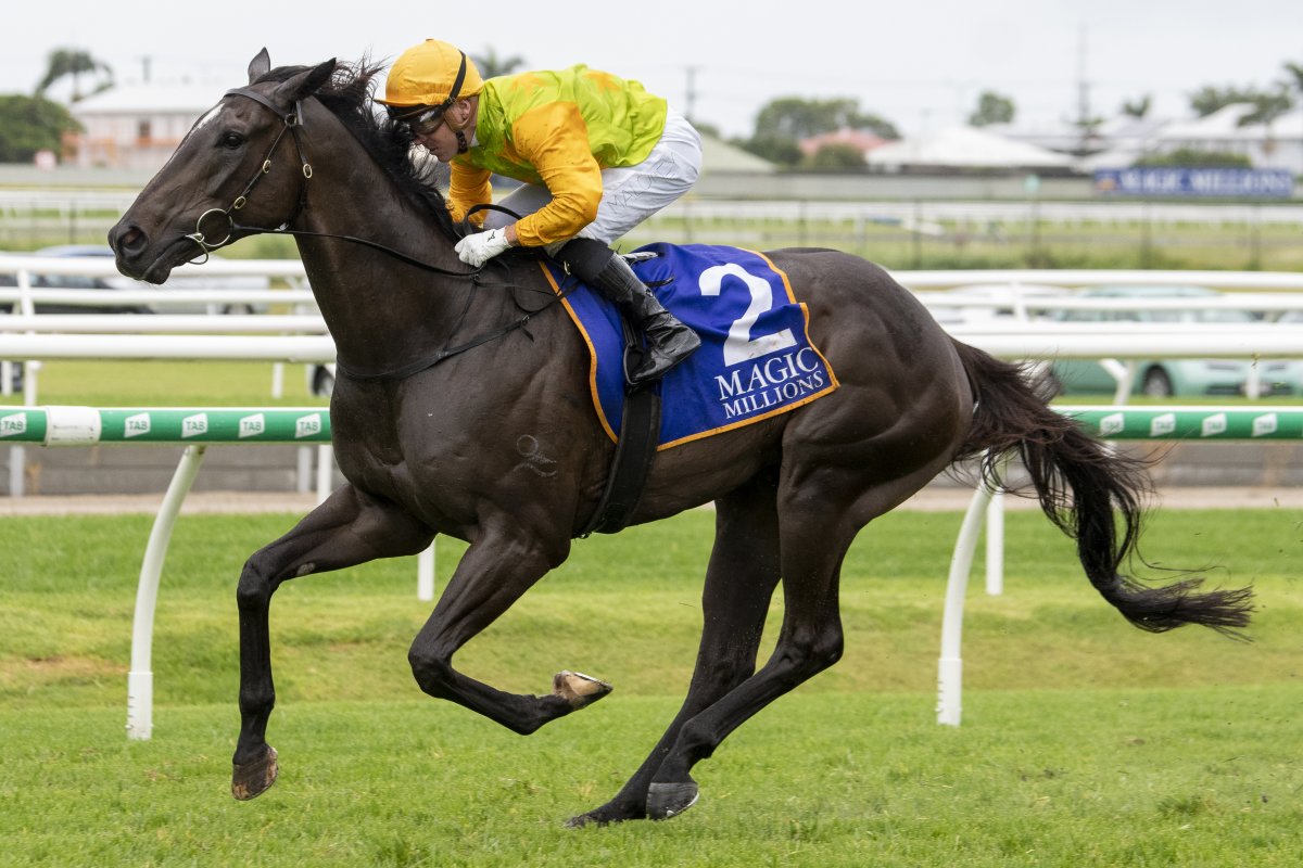 Tiger Heart and Fake Love Star on MM Online