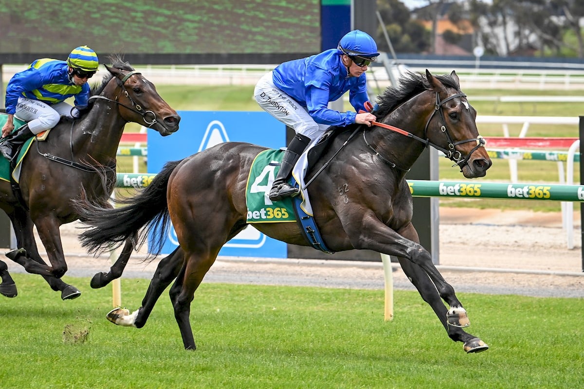 Godolphin Racehorses Highlight 157 Lot Online Sale