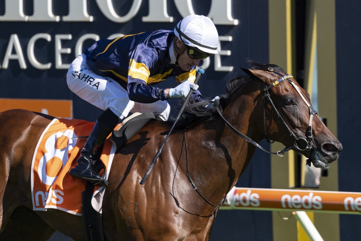 Superstar Tofane Set to Shine at Gold Coast National