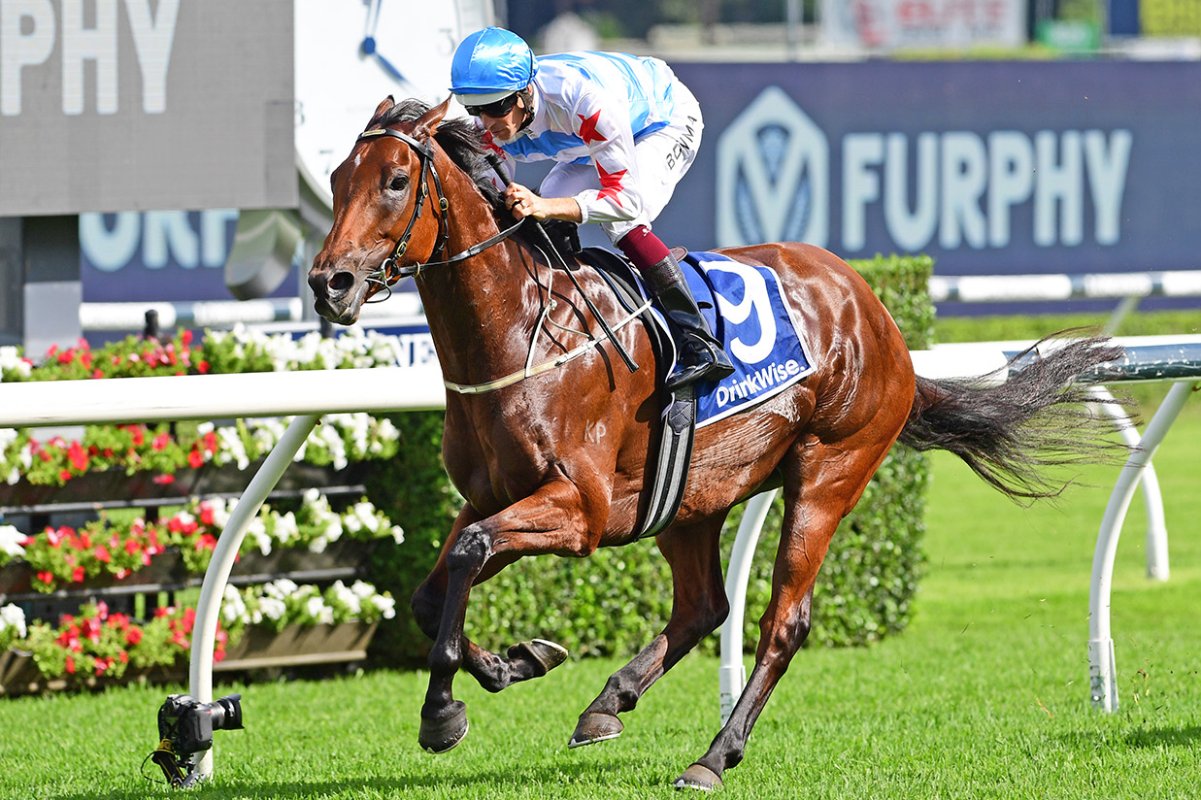 Forbidden Love Cruises to Another Group One