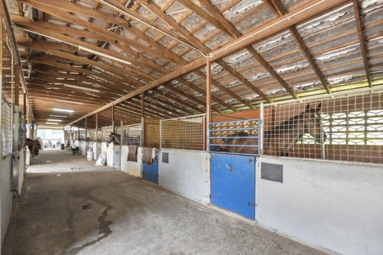 Caloundra Stables, photo 4