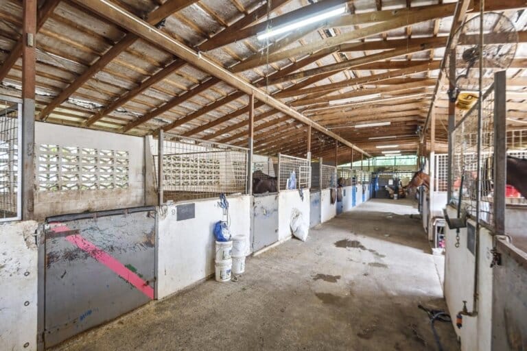Caloundra Stables, photo 5