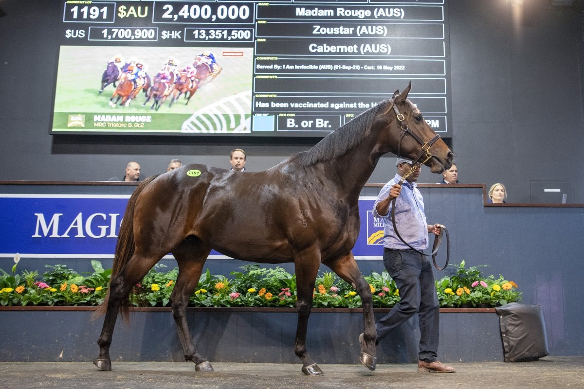 Madam Rouge Stars On Final Day of Amazing National Broodmare Sale
