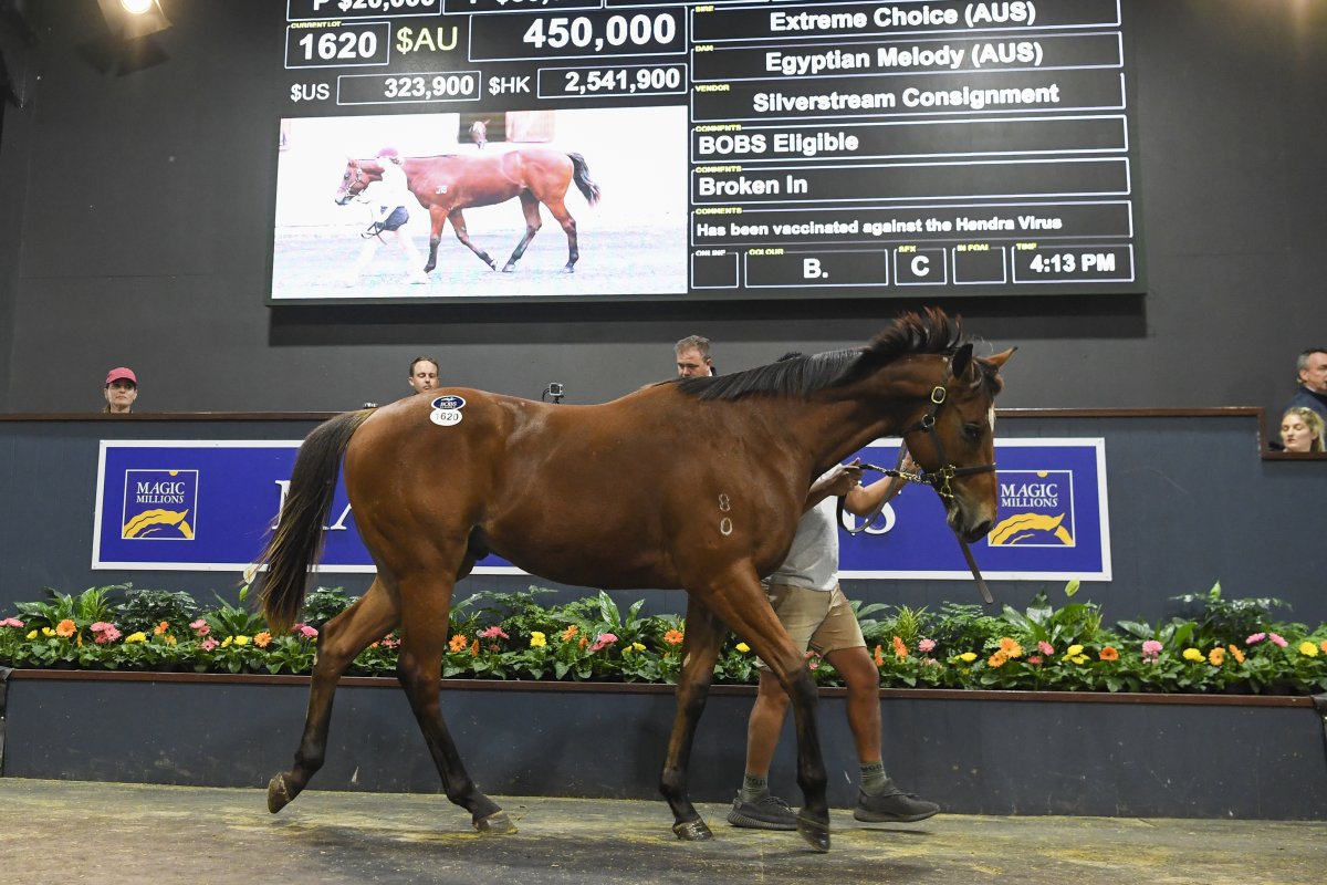 Extreme Choice Dominates Day One of National Yearlings