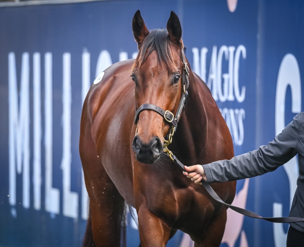 Away Game Tops Day One of National Broodmare Sale