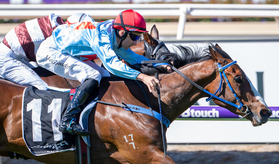 Group Two Winning Racemare Supplemented to Perth Winter Sale