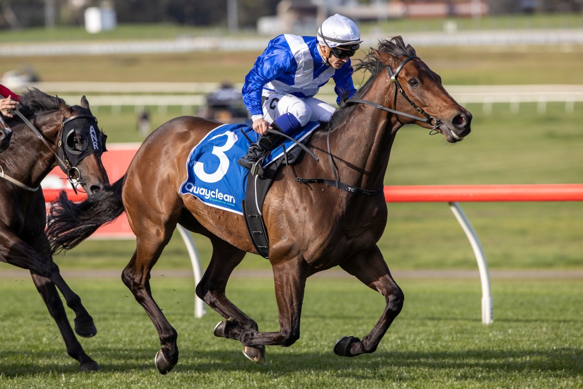 Cox Plate Next as Alligator Snaps Rivals in Underwood