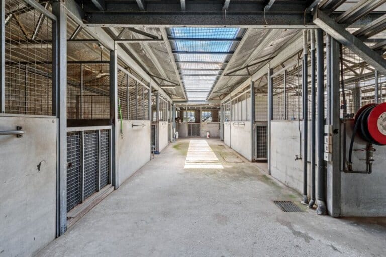 7 Ken Russell Crt, photo 3
