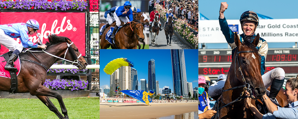 Star Studded Catalogue Online for 2023 Gold Coast Yearling Sale