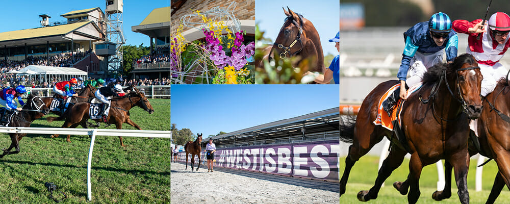 West is Best – 2023 Perth Yearling Sale Catalogue Online