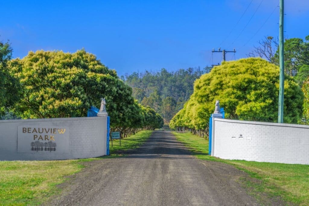 Beauview Park, photo 1