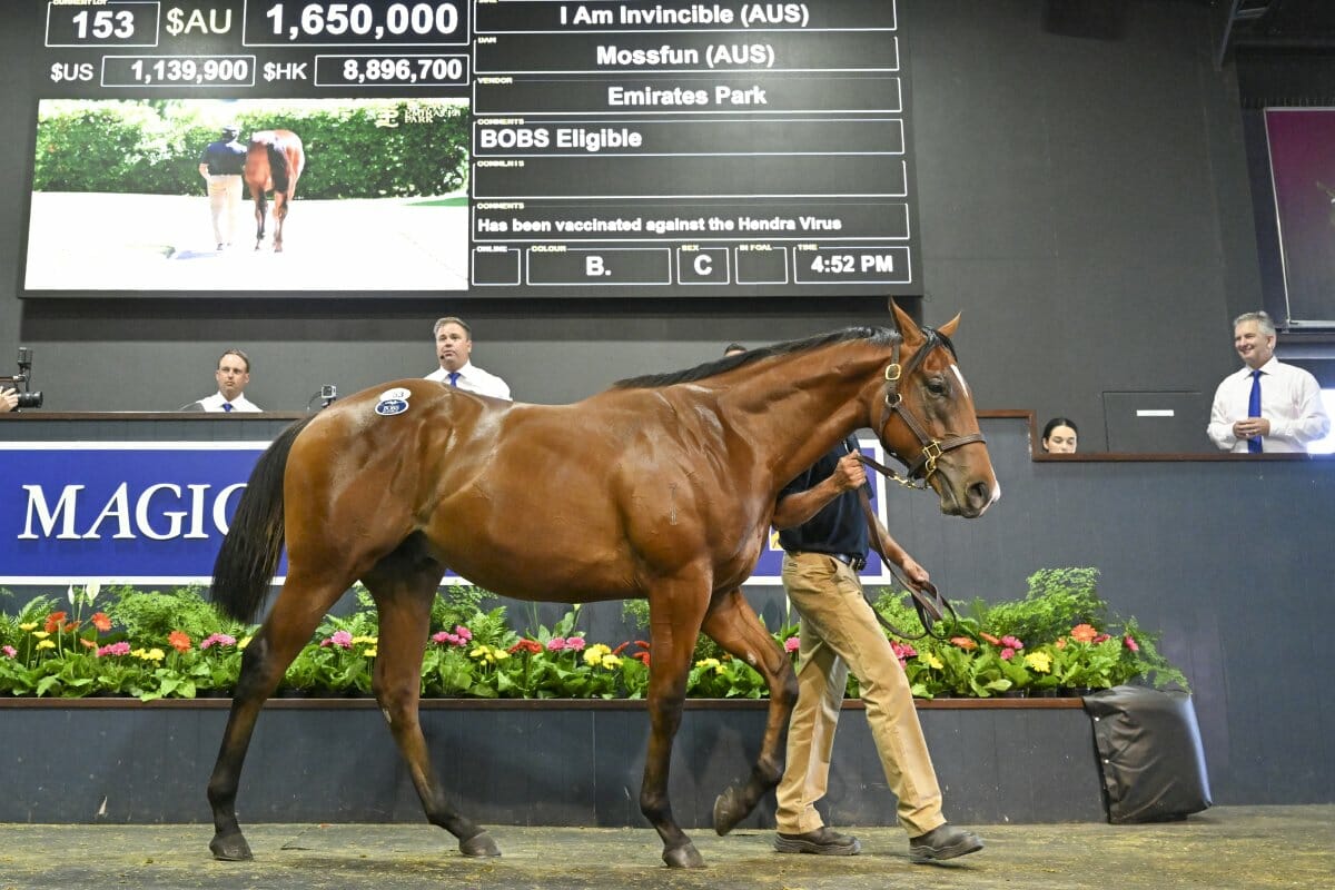 Mossfun’s Colt Tops Day One of Gold Coast Yearling Sale