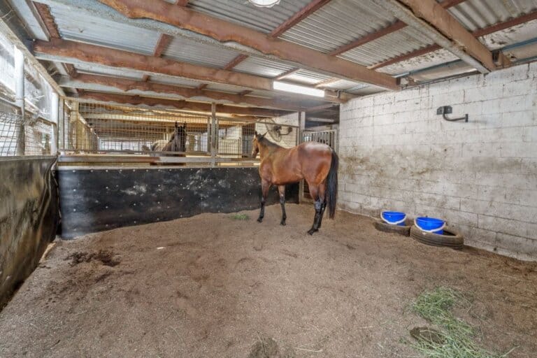 3/86 Racecourse Drive, photo 4