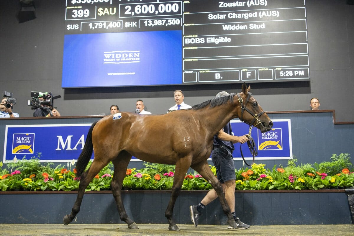 Sunlight’s Sister Smashes Gold Coast Yearling Record