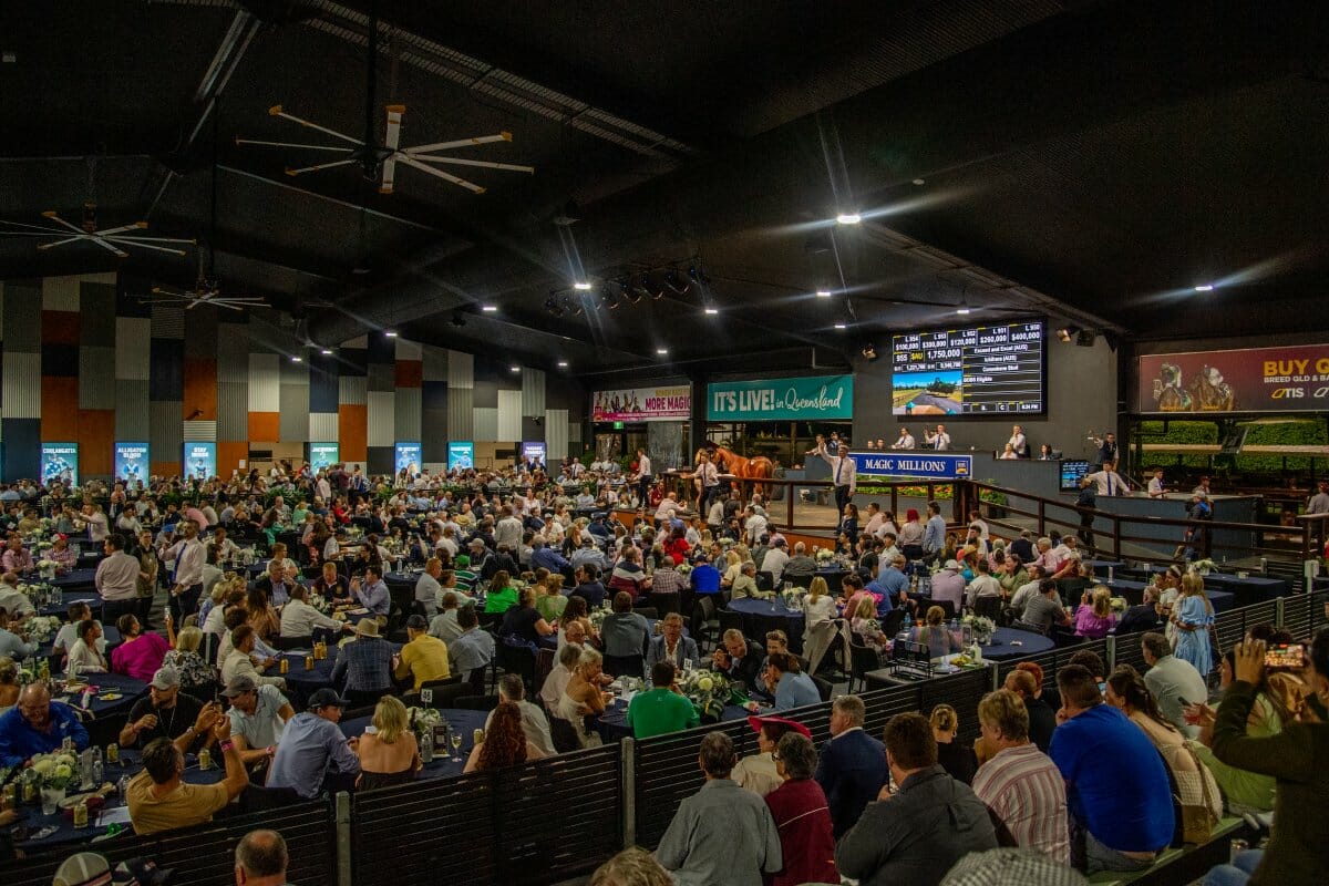 Record Breaking Gold Coast Yearling Sale Comes to a Close