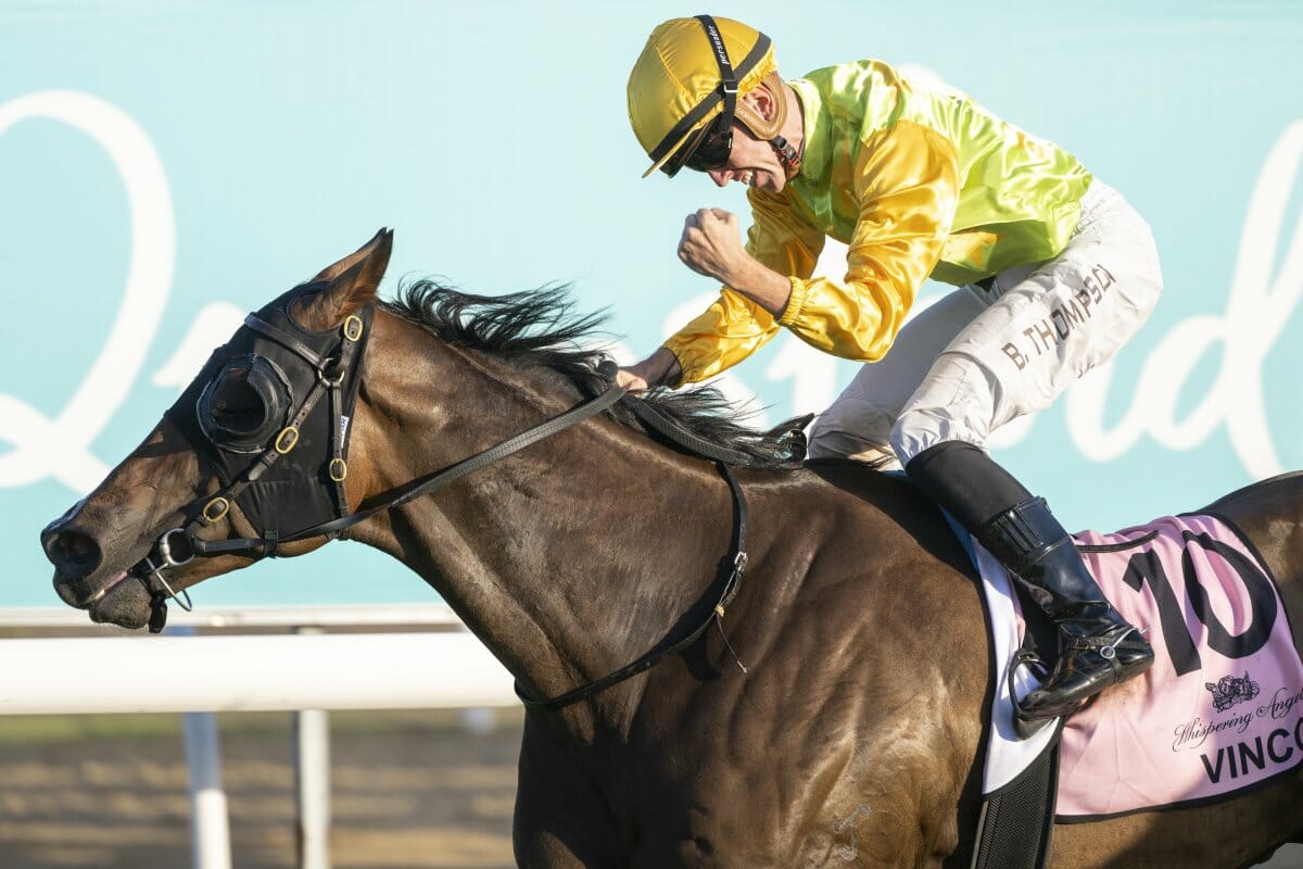 Vinco Adds to Gollan’s Magical Millions Day
