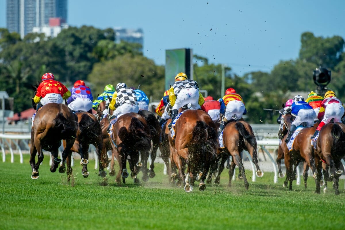 Ground-Breaking Magic Millions Expansion Unveiled