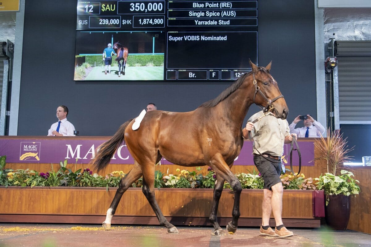 Blue Point Filly Tops Record Day in Swan Valley