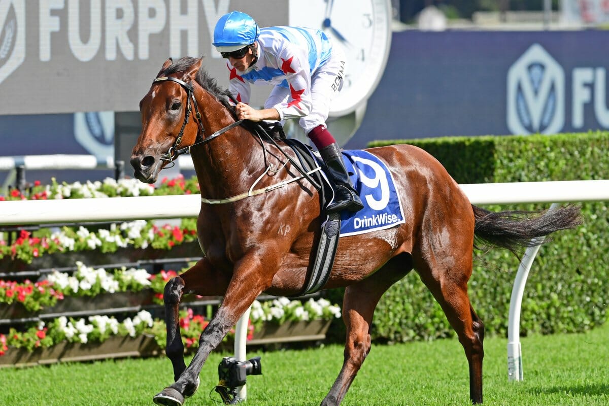 Forbidden Love Latest Star Confirmed for National Sale