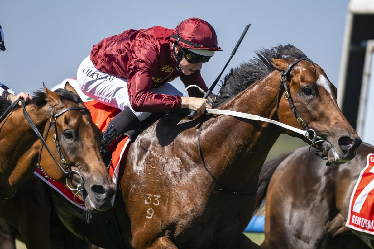 Crack Colt Jacquinot Wins Dramatic Orr Stakes