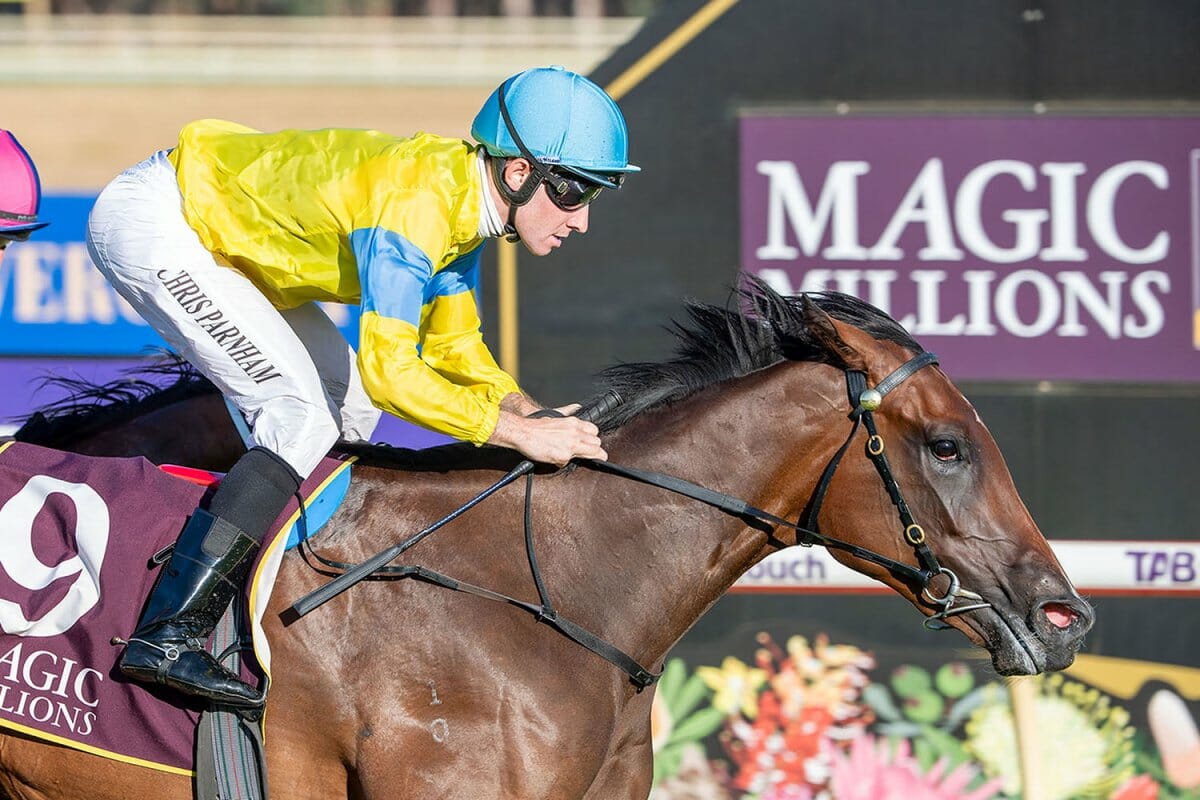 Super Smink Stars on Magical Pinjarra Raceday