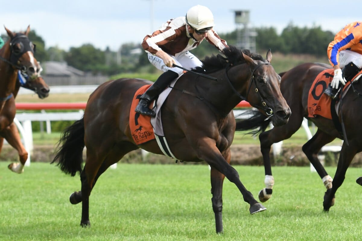 Superstar Levante Heading to National Broodmare Sale