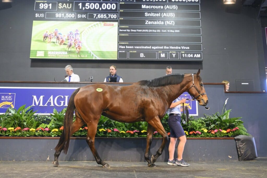 2023 Gold Coast National Broodmare Sale Magic Millions