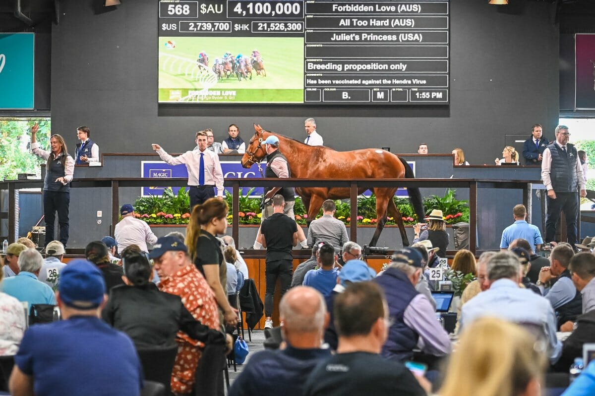Forbidden Love On Top at National Broodmare Sale
