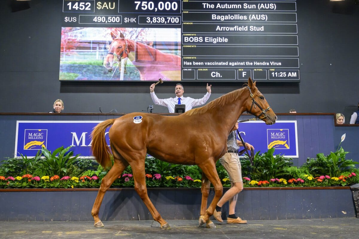 Blue Blooded Filly Tops Day One at National Yearling Sale