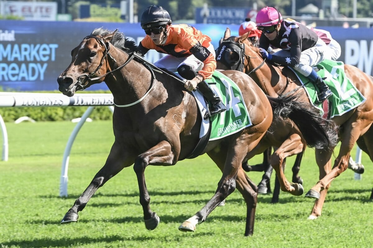 Last Start Group One Winning Filly to Shine at National