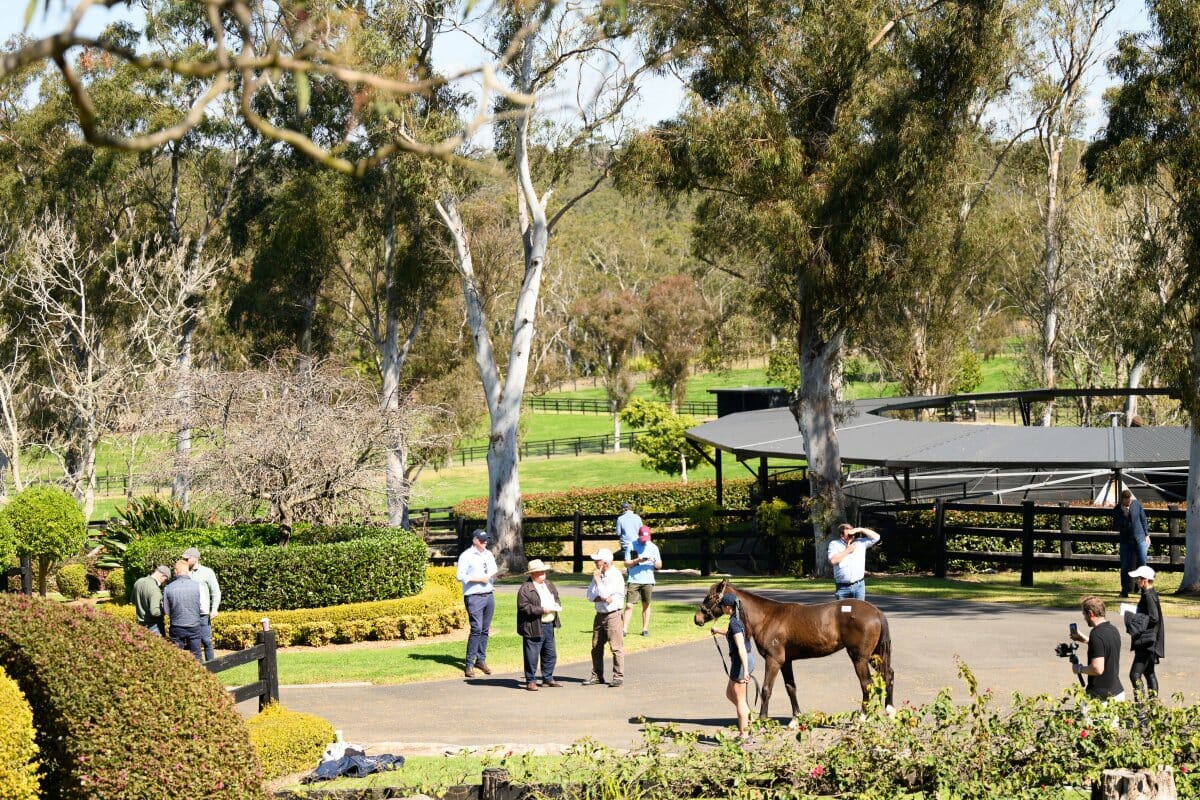 Coolmore Australia Secure World Class Strawberry Hill Stud