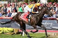 Imperatriz Horse